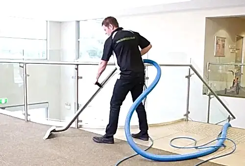 Professional Carpet Cleaning