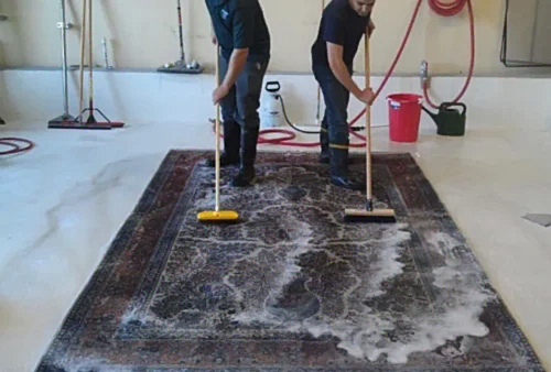 Carpet cleaning service
